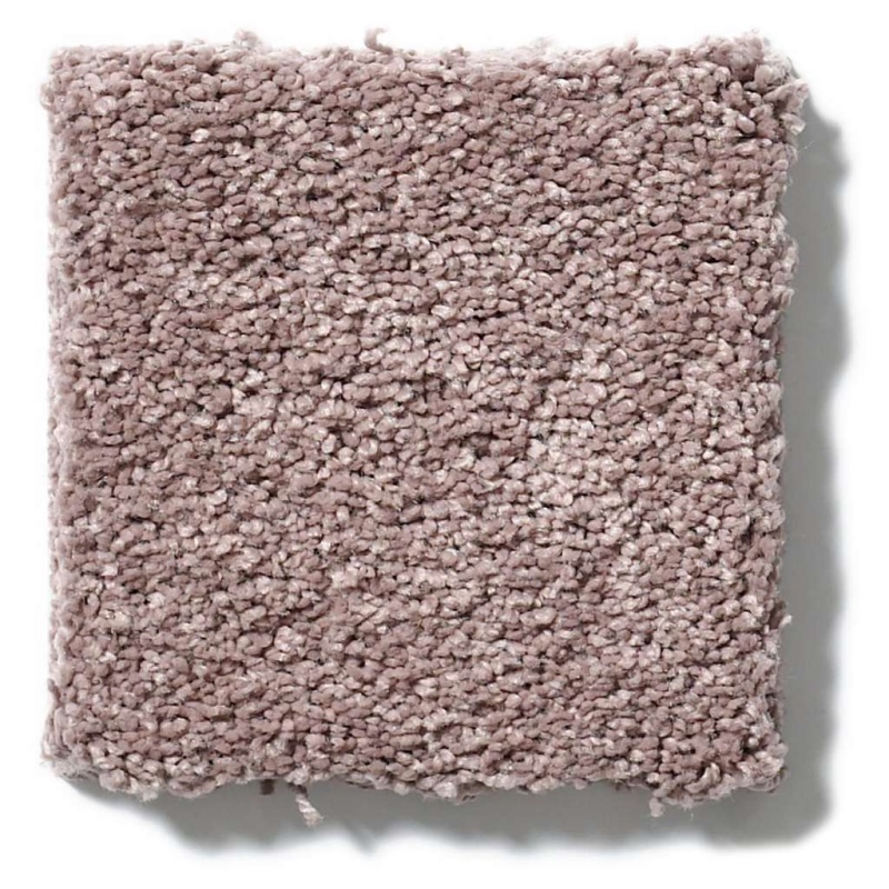 Caress By Shaw Quiet Comfort Classic I Heather Nylon Carpet - Textured