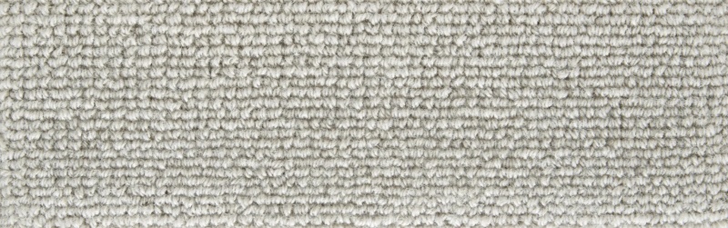 Natural Wonders Forester Dove Wool Carpet - Textured