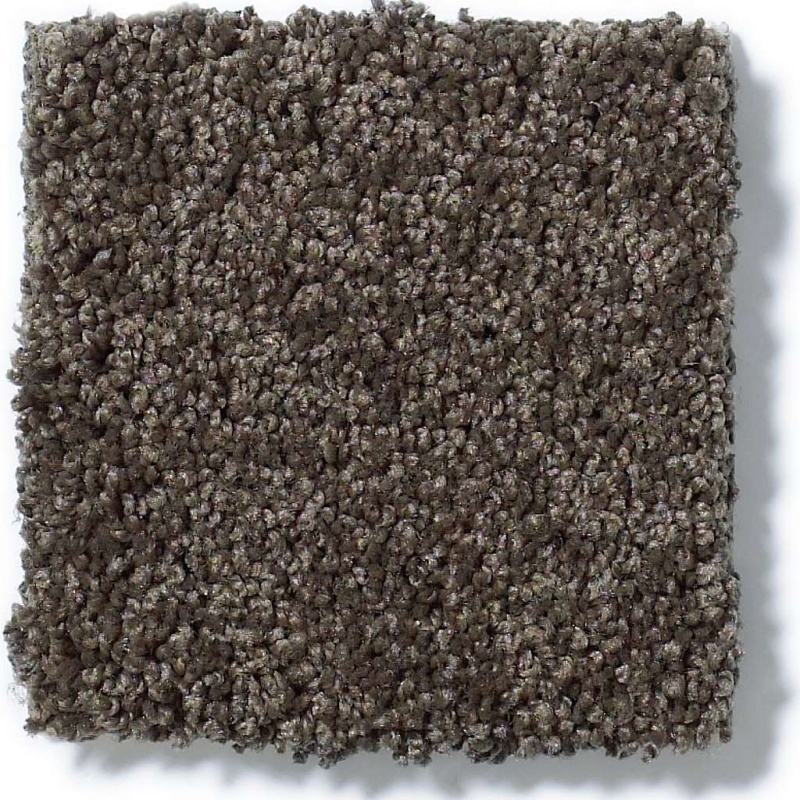 Soft Shades My Choice Ii Chocolate Nylon Carpet - Textured