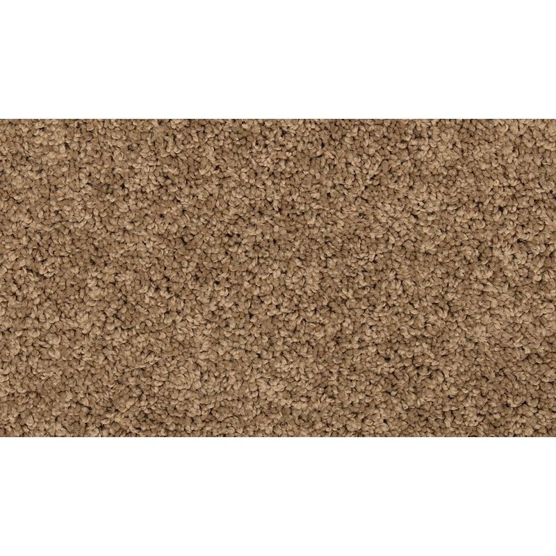 Renovate III Fowler Polyester Carpet - Textured
