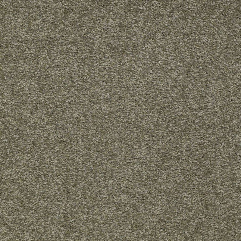 Magic At Last Iii 15' Garden Spot Nylon Carpet - Textured