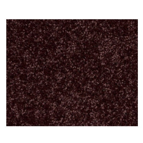 North Shore II Royal Purple Polyester Carpet