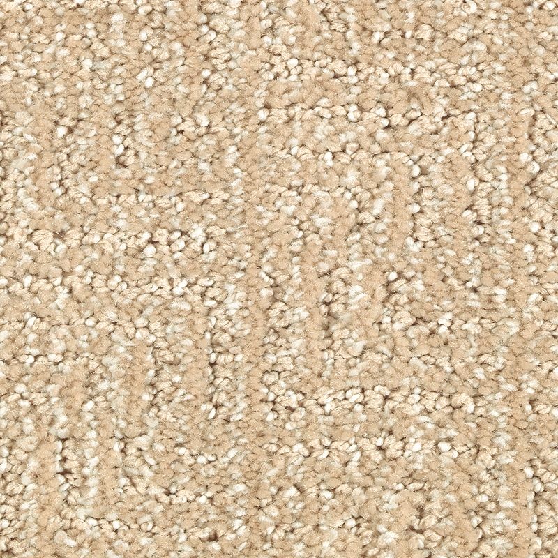 Natural Treasure Natural Grain Triexta Carpet