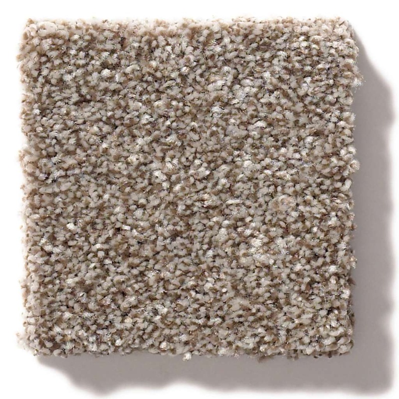 Simply The Best Make It Mine I Fox Hollow Polyester Carpet - Textured