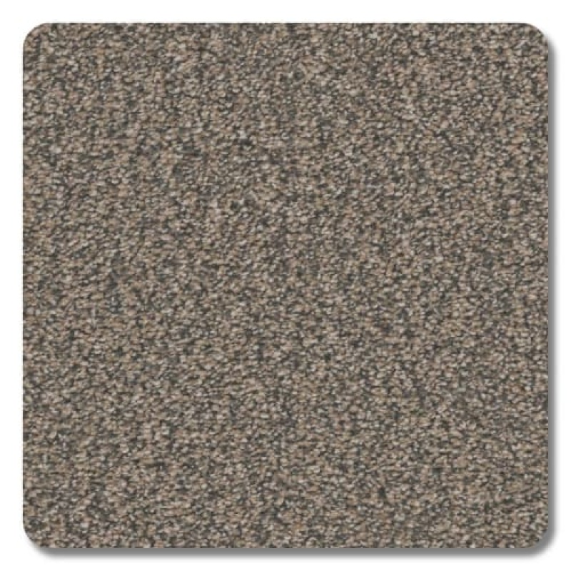 Mountain View Brunswick Polyester Carpet - Textured