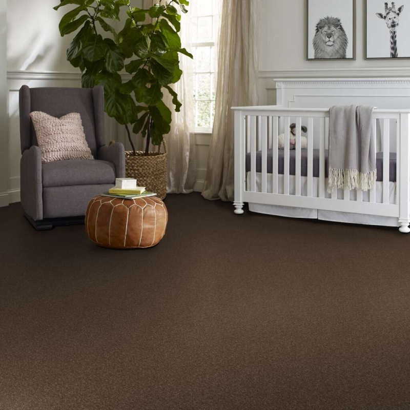 Caress By Shaw Quiet Comfort Classic I Bison Nylon Carpet - Textured