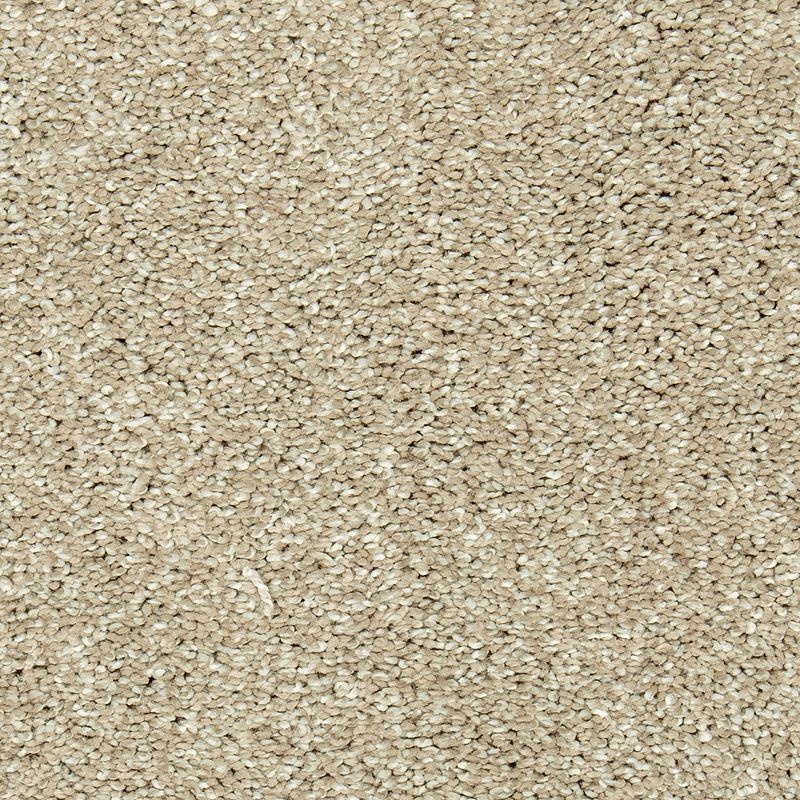 Natural Refinement I Overcast Triexta Carpet - Textured