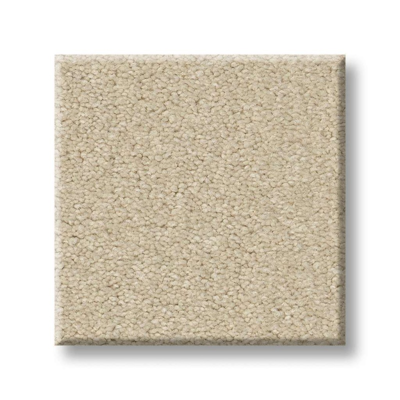 Couture' Collection Ultimate Expression 12' Mushroom Nylon Carpet - Textured