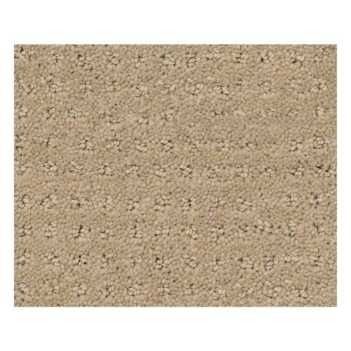 Warming Pattern Latte Nylon Carpet - Pattern