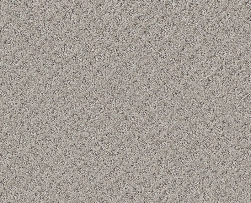 Mod Beauty Silver Lining Nylon Carpet - Loop