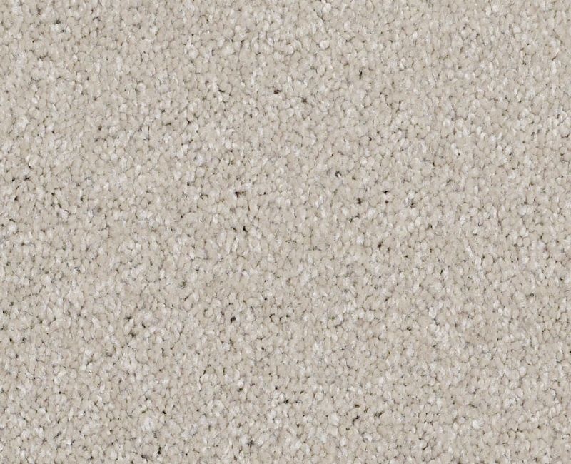 Anso Open I (S) Soft Chamois Nylon Carpet - Textured