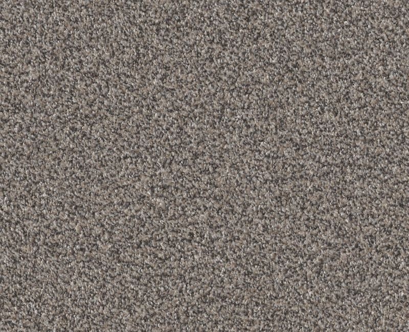 Cavallini Fossil Path Polyester Carpet - Loop