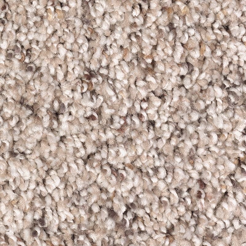 Soft Sensations II Hidden Treasure Polyester Carpet