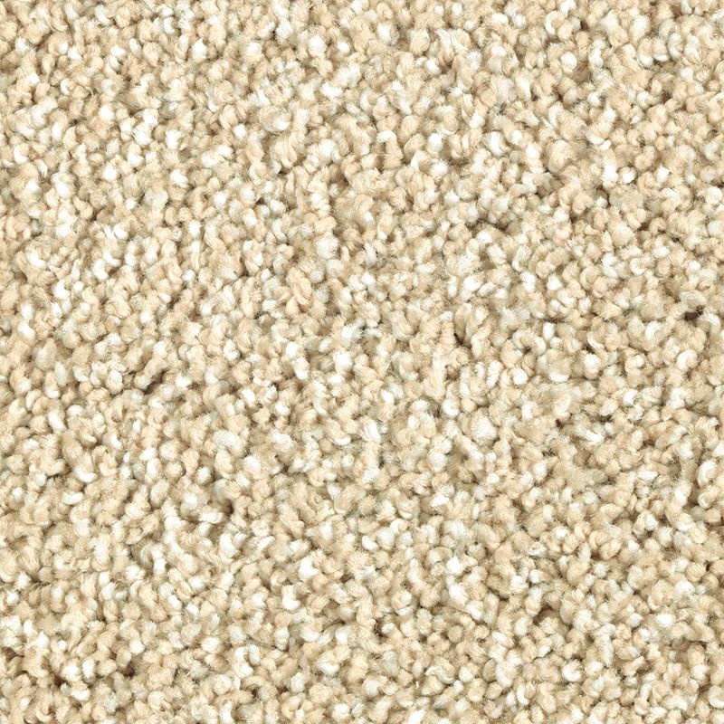 Natural Refinement Ii Parchment Triexta Carpet - Textured