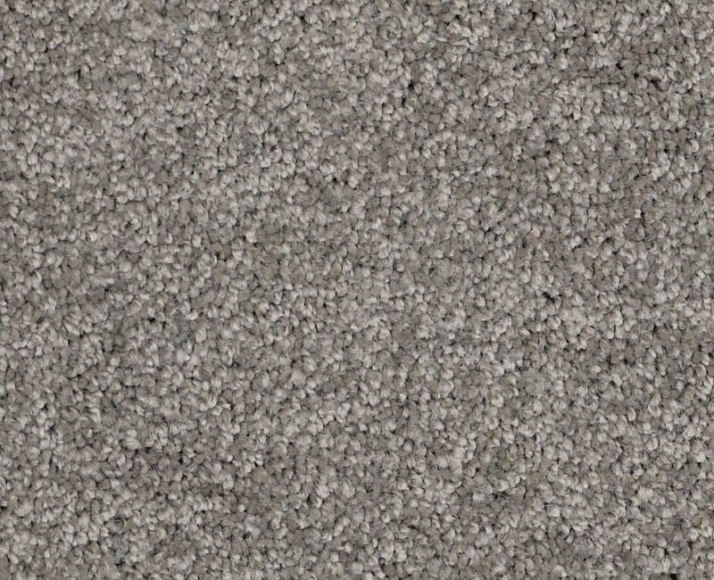 Orlando Pv Battleship Nylon Carpet - Textured