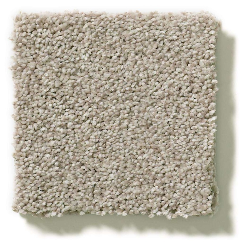 Simply The Best Momentum II Driftwood Polyester Carpet - Textured