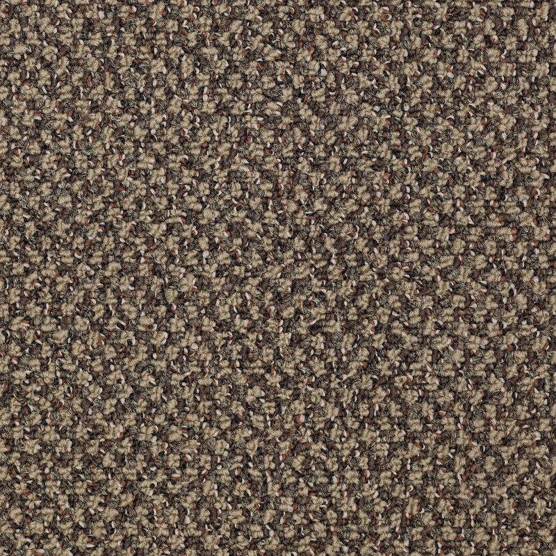 New Basics Hot Order Textured Nylon Carpet