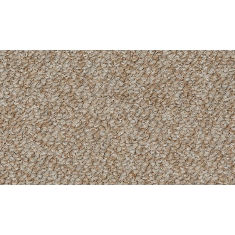 Enduring Amazement Wrangler Polyester Carpet - Pattern