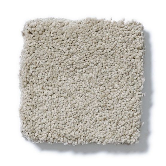 Pet Perfect Pawparazzi II Mocha Cream Nylon Carpet