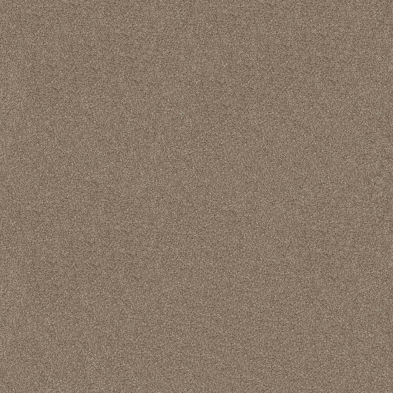 Anso Open Ii (S) Sombrero Nylon Carpet - Textured
