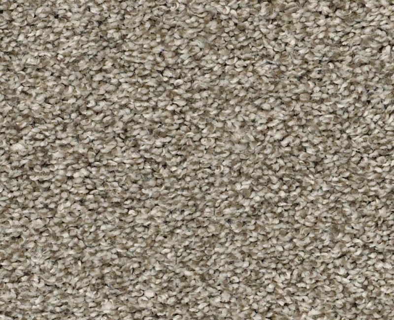 You Got It I Clay Polyester Carpet - Textured