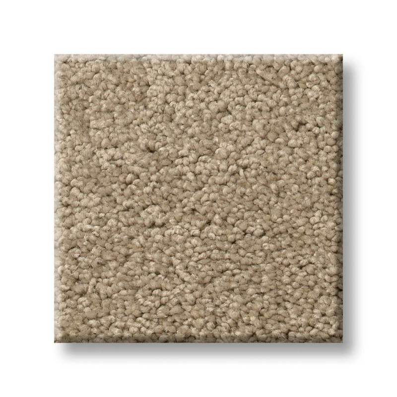 Origins II Mushroom Nylon Carpet - Textured
