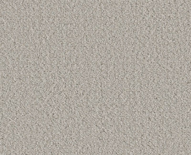 Rare Find Split Sediment Nylon Carpet - Loop