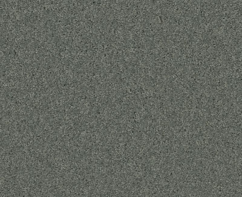Detailed Elegance Ii Silver Sage Nylon Carpet - Loop