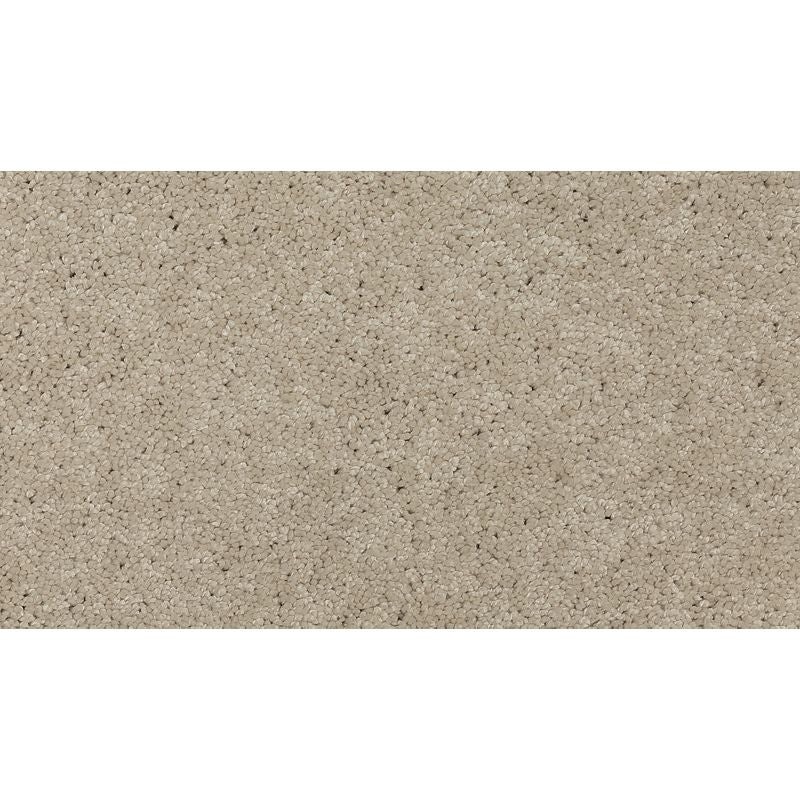 Soft Edition Ii Dove Polyester Carpet - Textured