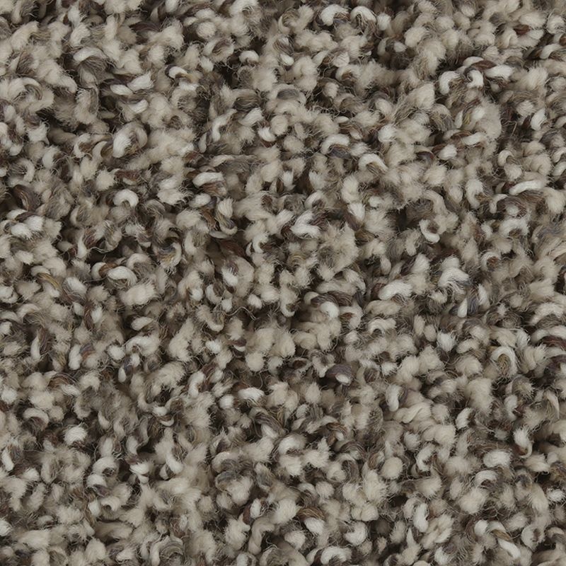 Exquisite Accent Misty Morn Triexta Carpet - Textured