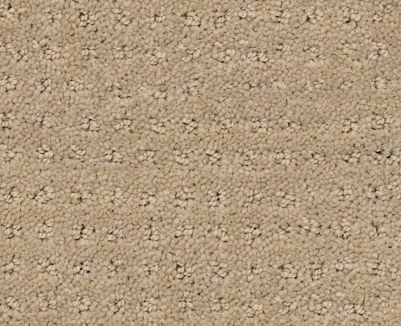 My Style Pattern Latte Nylon Carpet