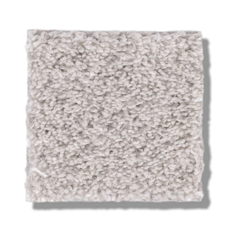 Pet Perfect Plus Calm Serenity I Serene Still Polyester Carpet - Textured