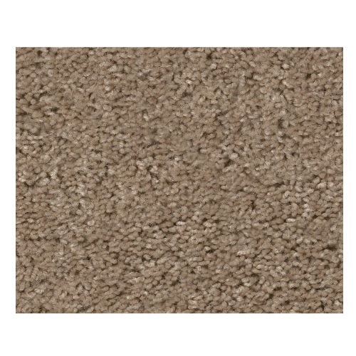 To The Point Latte Polyester Carpet - Textured