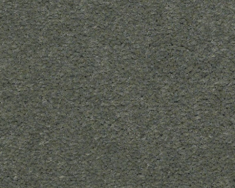 Emphatic Ii 30 Dried Sage Nylon Carpet - Textured