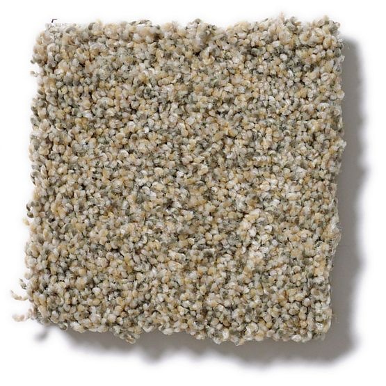 Pet Perfect Oliver's Twist Sand Dune Nylon Carpet - Textured