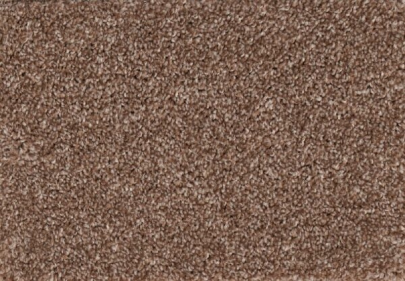 New Foundation Dwelling Polypropylene Carpet - Textured