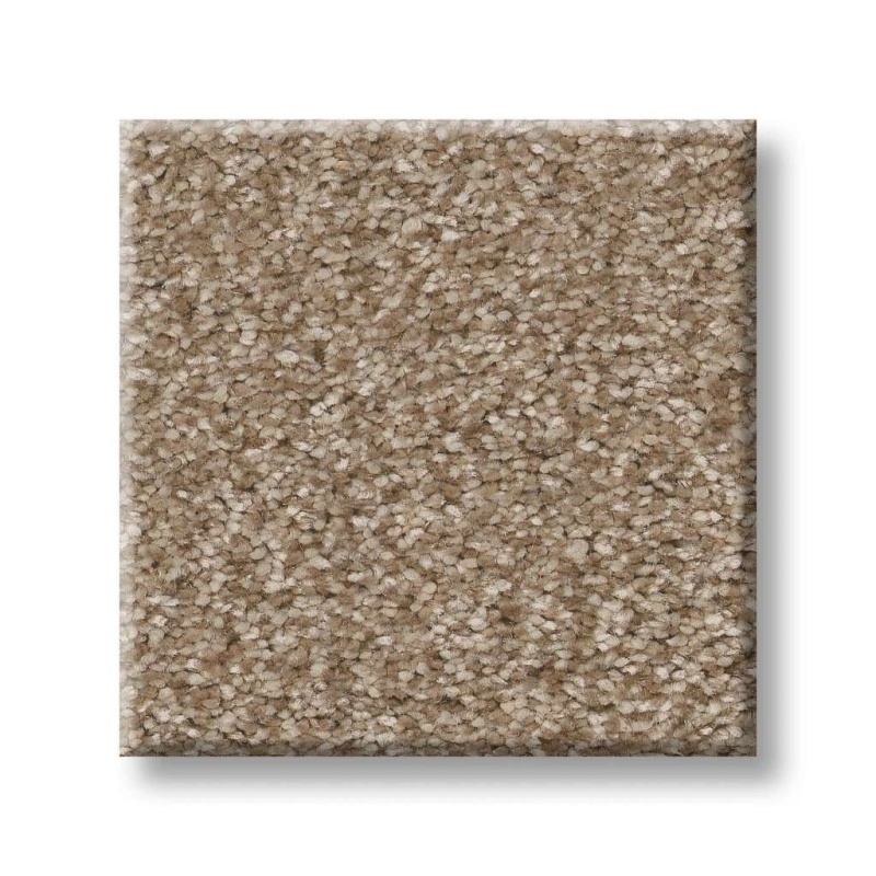 Pet Perfect You Got This Iii Worn Path Polyester Carpet - Textured