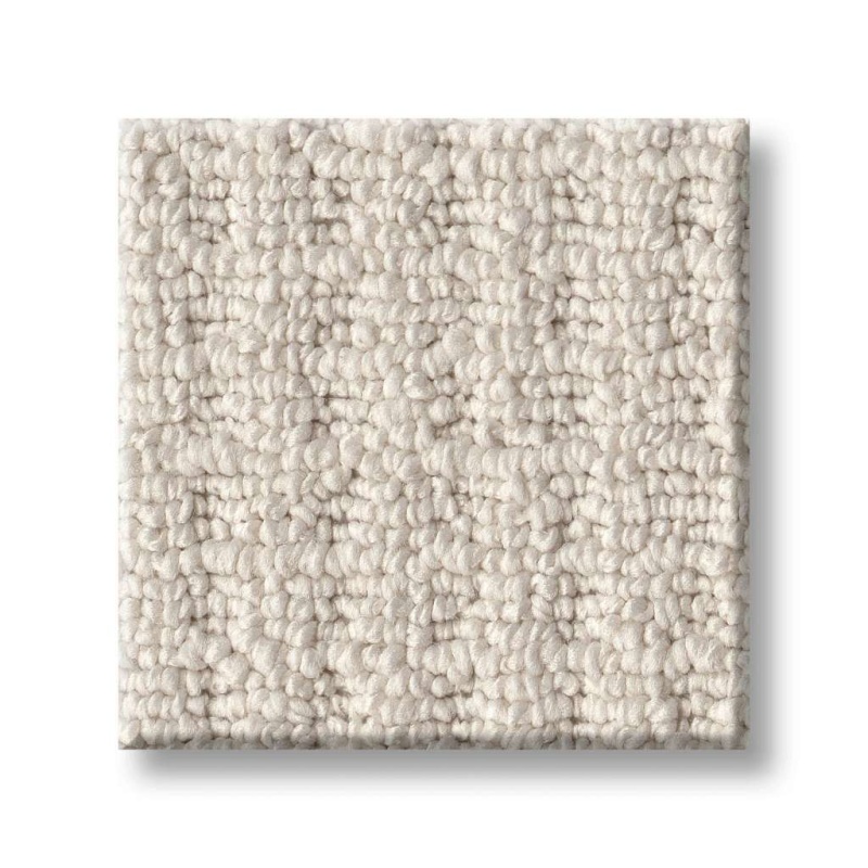 Simply The Best Framed View Canvas Polyester Carpet - Loop
