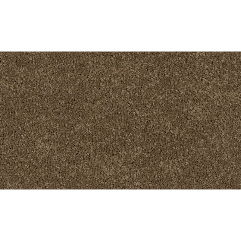 Coastal Fashion Iii Tradition Nylon Carpet - Textured