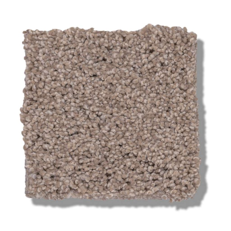 Caress By Shaw Cozy Harbor I Natural Beauty Nylon Carpet