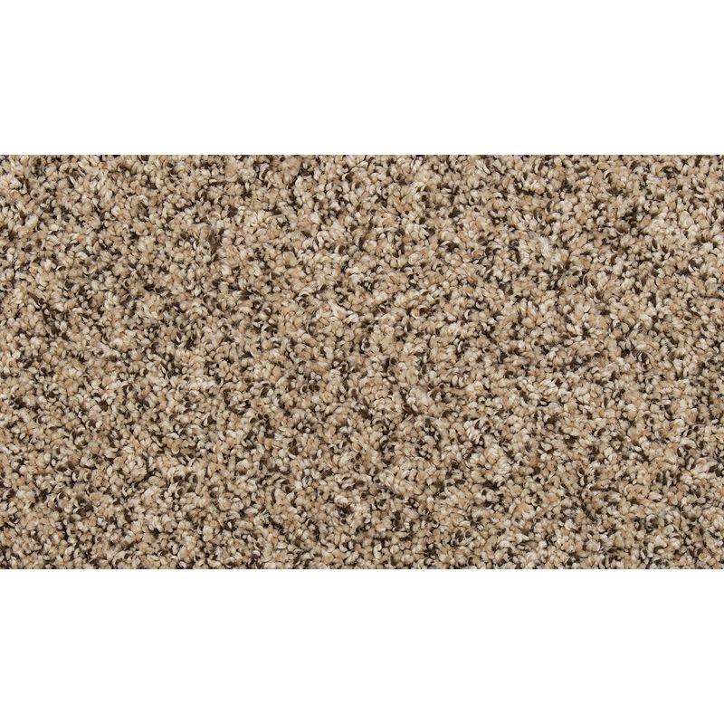 Renovate Ii Cross Country Polyester Carpet - Textured