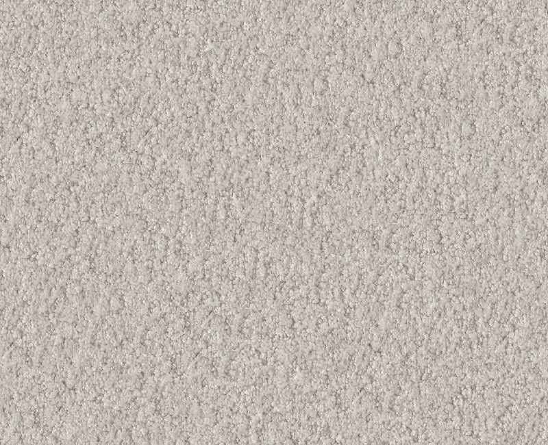 Showy Winters Dawn Nylon Carpet - Loop