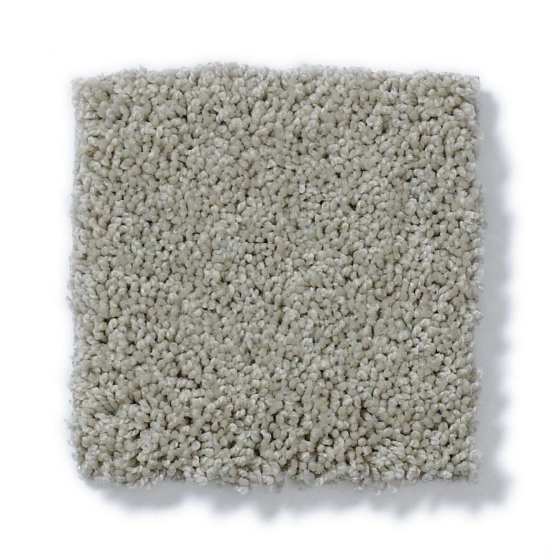 Soft Shades My Choice Iii Textured Canvas Nylon Carpet - Textured