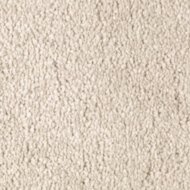 Natural Splendor Ii Shoreline Triexta Carpet - Textured
