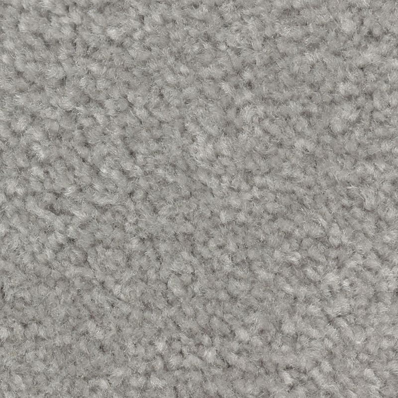 Homefront Iii Aspen Summit Triexta Carpet - Textured