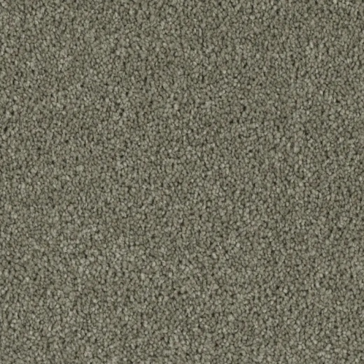 Microban Tempt Overwhelm Polyester Carpet - Textured