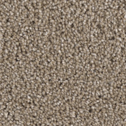 Floorever Petplus Idyllic Brilliant Polyester Carpet - Textured