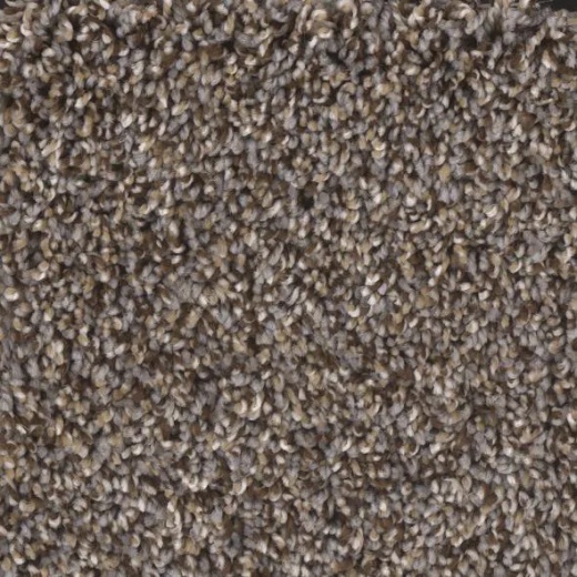 Floorever Eccentric Peaceful Polyester Carpet - Textured