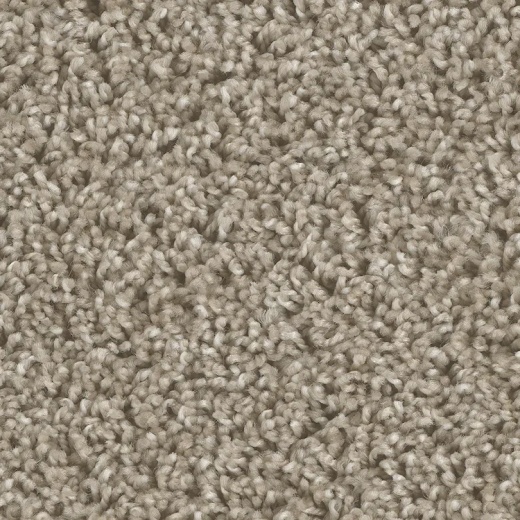 Microban Bodega Bay Fort Ross Polyester Carpet - Textured