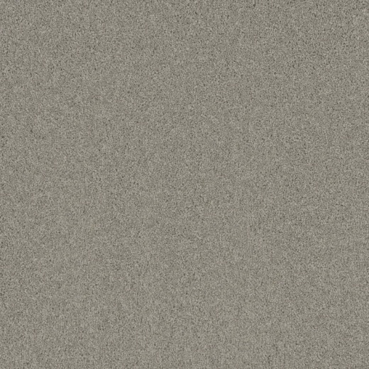 Microban Magical Delighted Polyester Carpet - Textured